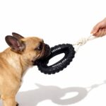 Play Toys - Bite‑Resistant Rubber Tire Toy Dog Toy