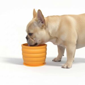Play Toys - Lick Cup Dog Slow Feeder with Suction Base