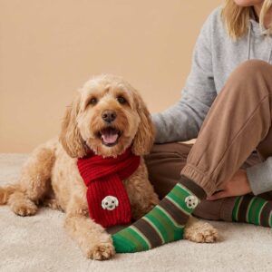 Personalised Pet & Owner LOVE Matching Scarf & Socks Set S-M