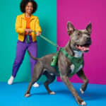 Cushioned Harness Walk Kit