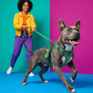 Cushioned Harness Walk Kit