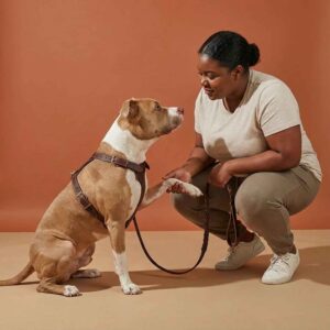 Luxury Leather Harness