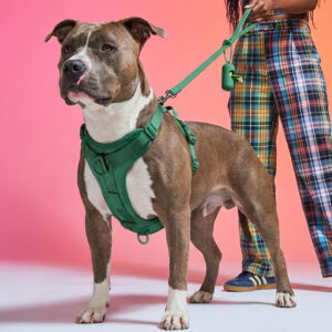 Classic Cushioned Harness