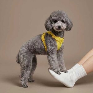 Classic Cushioned Harness