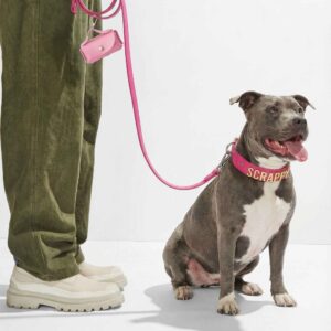 Personalized Matching Collar & Leash Set