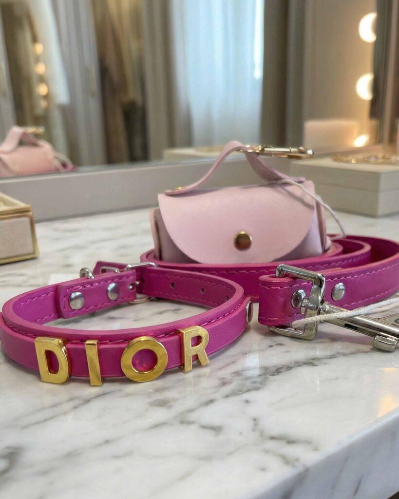 Image #1 from Abigail