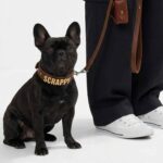 Personalized Matching Collar & Leash Set