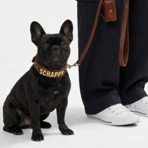 Personalized Matching Collar & Leash Set