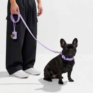 Personalized Collar & Leash Kit