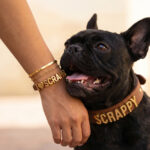 Personalized Pet & Parent Matching Collar + Jewelry Set