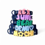 Personalized Waterproof Collar with Charms