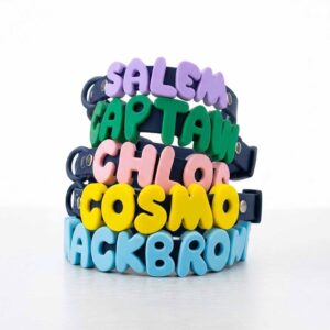 Personalized Waterproof Collar with Charms