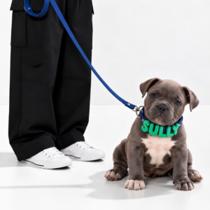 Personalized Waterproof Collar with Charms