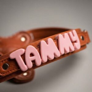 Personalized Step-In Harness with Bubble Letter Charms