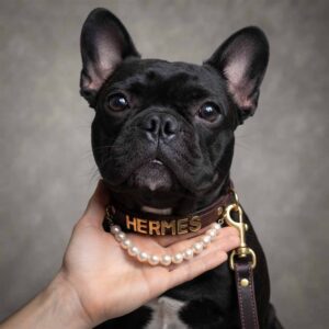 Personalized Genuine Leather Collar & Pearl Necklace