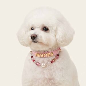 Personalized Collar & Jewelry Necklace
