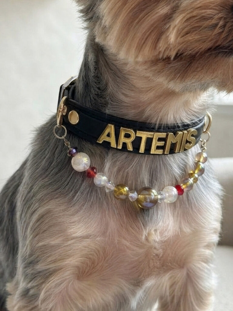 Image #1 from Aria