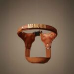 Personalized Step-In Harness with Gold Name Letters